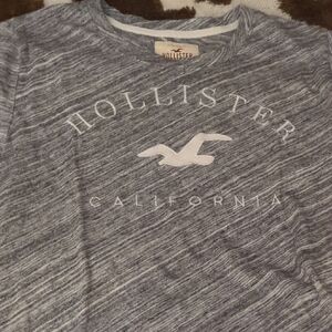 Hollister Gray Marled Logo Tee with White Seagull